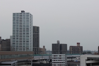 16058631.jpg