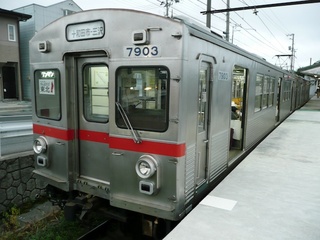 7903.jpg