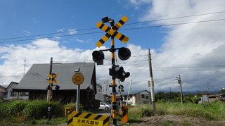 DSC04529.JPG