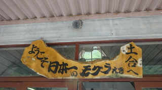 DSC04698.JPG
