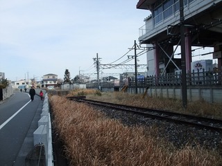 DSCF0353.jpg