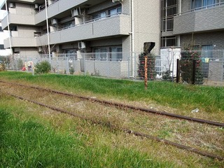 DSCF0365.jpg
