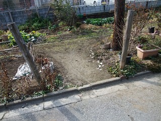 DSCF0391.jpg