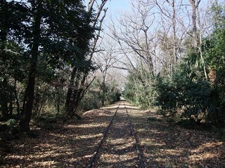DSCF0416.jpg