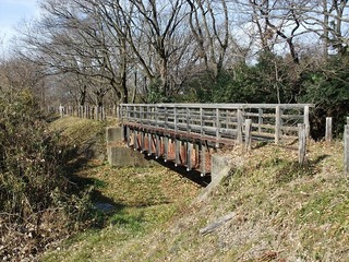 DSCF0418.jpg