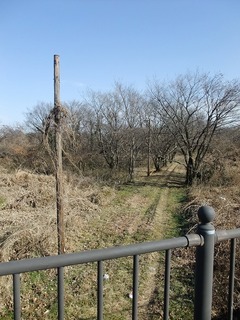 DSCF0425.jpg