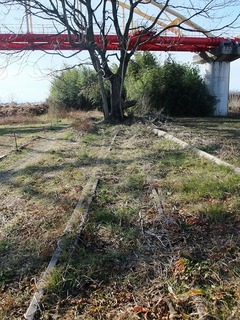 DSCF0431.jpg