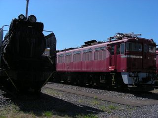 DSCN7980.JPG