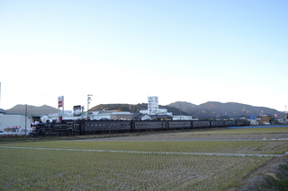 DSC_0380.JPG