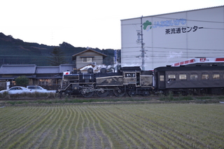 DSC_0385.JPG