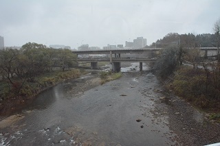 DSC_5943_1.jpg