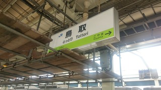 IMAG4146.jpg