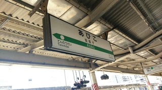 IMAG4767.jpg