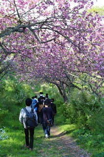 IMG_0270.jpg