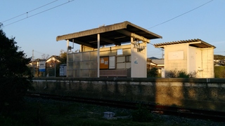 IMG_20170310_174654.jpg
