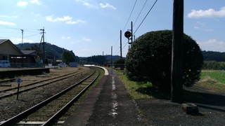 IMG_20170315_103745.jpg