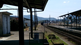 IMG_20170315_112555.jpg