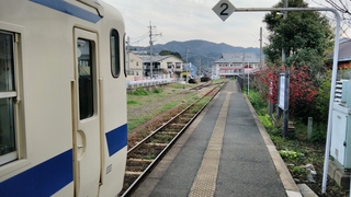IMG_20170316_171226.jpg