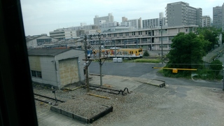 IMG_20170905_092401.jpg