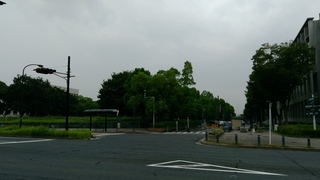IMG_20170907_120017.jpg