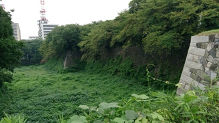 IMG_20170907_123401.jpg
