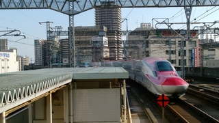 IMG_20170910_153152.jpg