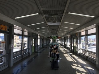 IMG_8194.jpg