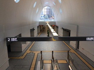 IMG_8211.jpg