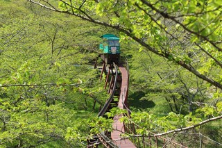 IMG_9964.jpg