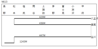 N613.gif
