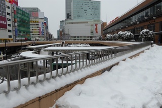 P1060155.jpg